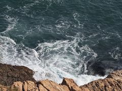 -广东惠东海龟国家级自然保护区