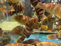 -聚福宝合苑食府(南头镇店)