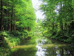 -上海植物园-4号门售票处