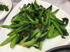 -鹅城