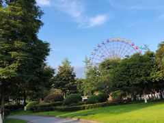 -成都南湖公园