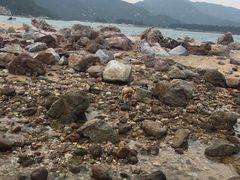 -西涌国际滨海旅游区