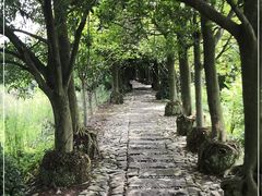 -皤滩古镇