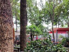 -二荆条·蜀鲜汇城市森林火锅