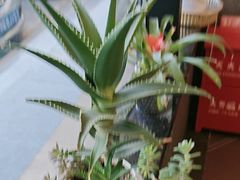 -天和晟烤鸭店(玉泉西街店)