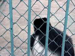 -秦皇岛野生动物园