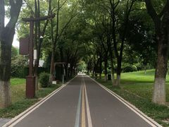 -堤角公园