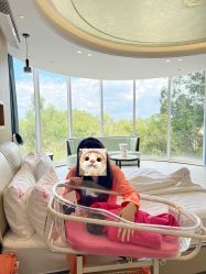 -爱丽馨御景月子中心