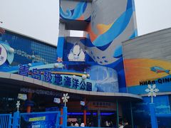 -海合安青岛极地海洋公园