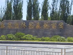 -永定河休闲森林公园