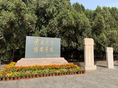 -老龙头景区