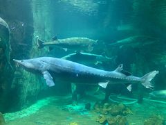 -华夏文旅海洋公园