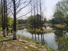 -澹台湖公园