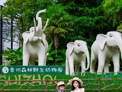 -贵州森林野生动物园