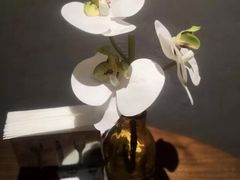 -来龙里 精致 东南亚餐室(万象城店)