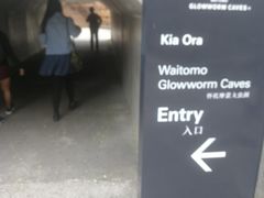 -怀托摩萤火虫洞