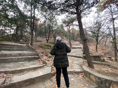 -北京鹫峰国家森林公园