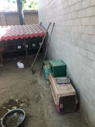 -上美四季动物农场
