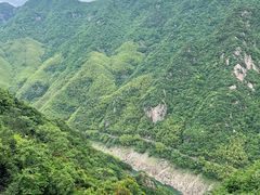 -江南天池