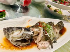 -视界美食自助餐厅·石家庄希尔顿酒店