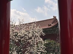 -皇罗禅寺