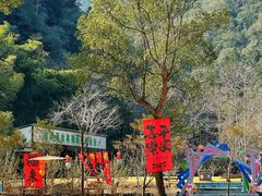 -龙湾潭国家森林公园