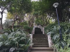-龙头寺公园