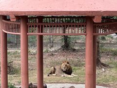 -东莞香市动物园