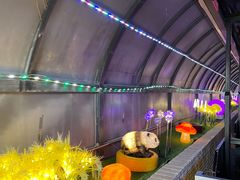 -武汉紫薇都市田园