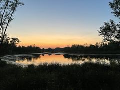-东郊湿地公园