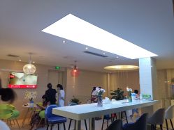 -比华利美容医院