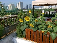 android_upload_pic-沃德阿拉丁酒店(威海海滨南路韩乐坊店)