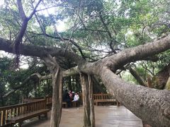 -青芝山风景名胜区