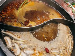 -园里火锅(仁和新城店)