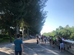 -宝安西湾红树林湿地公园