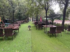-尚庄度假村·庭台树下·户外烧烤·团建CS·轰趴营地(上庄水库店)