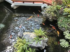 -广州白天鹅宾馆