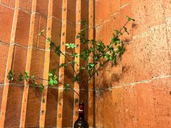 -Osteria Garden 生蚝花园餐厅(原进贤路店)