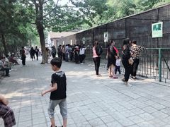 -保定市动物园