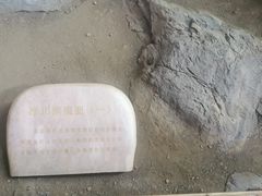 -中国第四纪冰川遗迹陈列馆