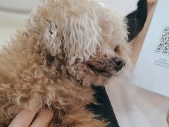 -美联众合动物医院·24h转诊中心