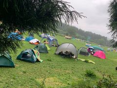 -武陵山森林公园