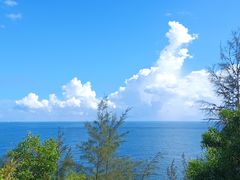 -广东惠东海龟国家级自然保护区