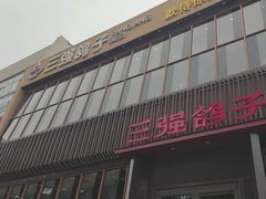 -三强鸽子(中原路店)