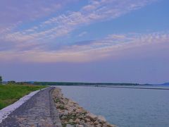 -合肥滨湖国家森林公园