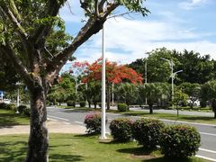 -亚龙湾亚泰商业街