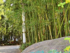 -苏州河梦清园环保主题公园