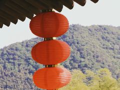 -大唐贡茶院
