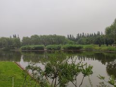 -石家庄市植物园