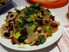 凉拌粉皮-杨氏青龙虾·羊蝎子(托乐嘉店)